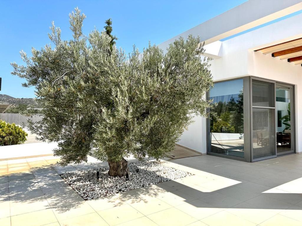 Leblanc Luxurious Beachfront Villa, Gcollectiongr Ермиони Екстериор снимка