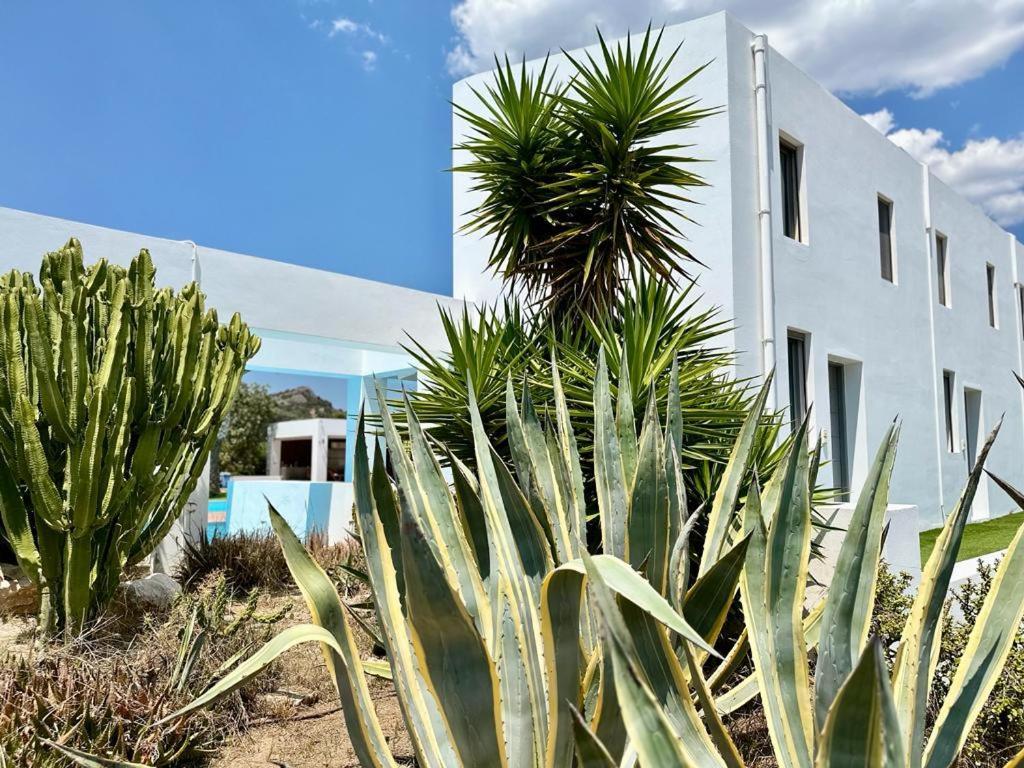 Leblanc Luxurious Beachfront Villa, Gcollectiongr Ермиони Екстериор снимка